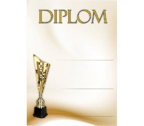 diplom 06