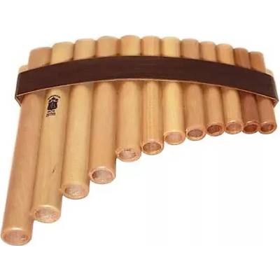 Gibonus Student Pan Flute FP 12 – Zboží Dáma