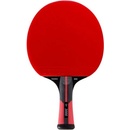 Dunlop Evolution 3000
