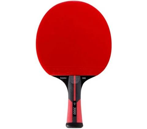 Dunlop Evolution 3000