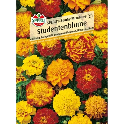 Sperli Student Flower "Sperli s Sparky Mix" vícebarevná