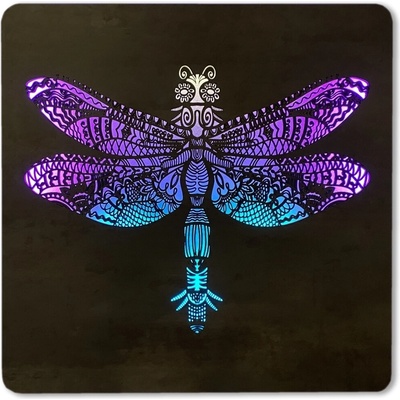 Li-Go "Vážka" světelný obraz RGB s baterií 62x62cm provedení povrchu: dub