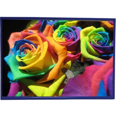 Kejea Джоб за документи, магнитен, А4, със синя рамка (1070160043)