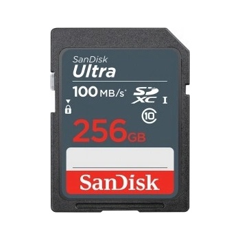SanDisk SDXC UHS-I 256 GB SDSDUNR-256G-GN3IN