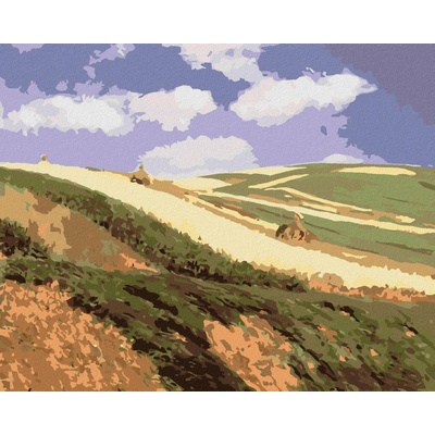 Zuty Malování Podle Čísel Pole Pál Szinyei Merse 80 x 100 cm Plátno Rám