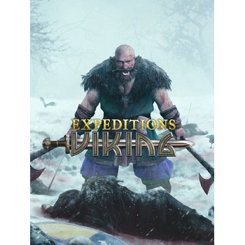 IMGN.PRO Expeditions Viking (PC)