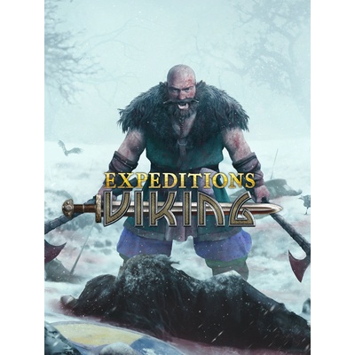 IMGN.PRO Expeditions Viking (PC)
