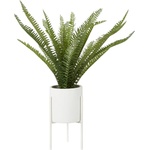Premier Housewares Изкуствен папрат (височина 56 см) Fiori - Premier Housewares (2907050)