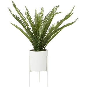 Premier Housewares Изкуствен папрат (височина 56 см) Fiori - Premier Housewares (2907050)