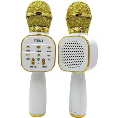 Eljet Star Karaoke Gold