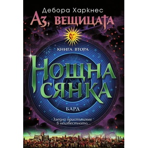Нощна сянка (2013)