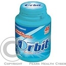 ORBIT PEPPERMINT DÓZA 64G