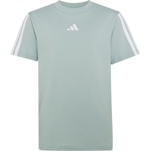 Adidas Детска тениска adidas Kid's Essentials T-Shirt - Wonder Sage / White - размер 152 (EU) (704-6488-0213)