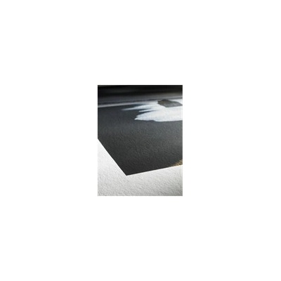 Hahnemühle 10641623