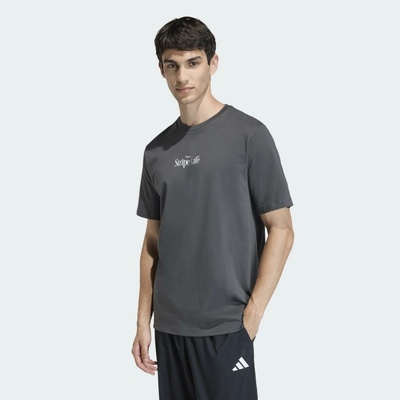 adidas pánske tričko strih regular sivé