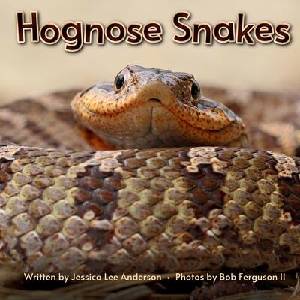 Hognose Snakes | Bob Ferguson (ISBN: 9781964078144)