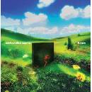 Rainbow Kitten Surprise - Bones CD