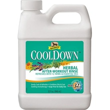 Absorbine Cool down 946 ml