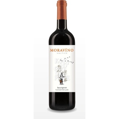 Moravíno Sauvignon pozdní sběr 13% 0,75 l (holá láhev)