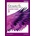 Stretch 3 Teacher´s Book Pack