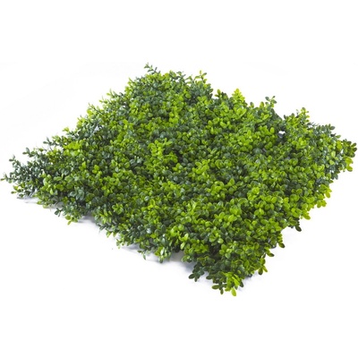 Umelý živý plot BUXUS JAPONICUS, dielec 50x50cm