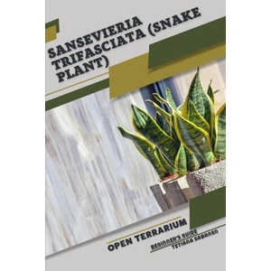Sansevieria trifasciata (2023)