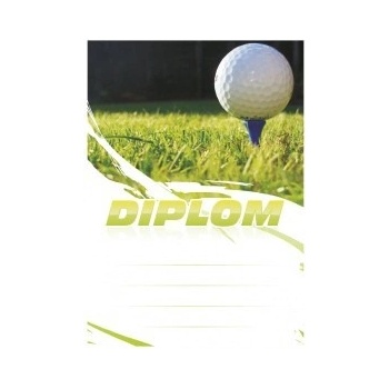 Diplom 6624