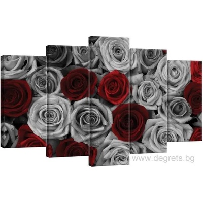 Картина Канава Рози червено - сиви - Сет 5 части