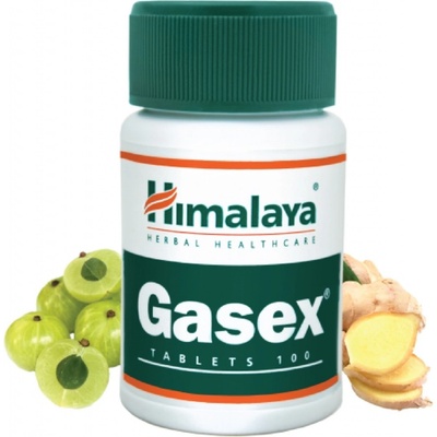 Himalaya Gasex 100 tabliet