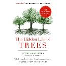 The Hidden Life Of Trees