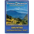 Everest Ayurveda SHUNTHI Žalúdok a črevá 100 g