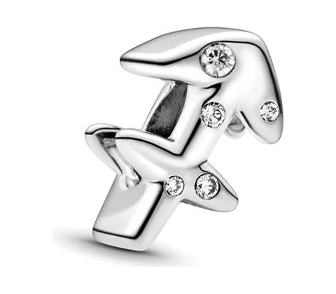 Pandora 798419C01