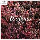 Spring - Wallows LP