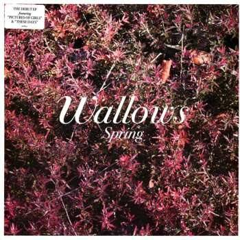 Spring - Wallows LP