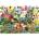 Gibsons - Puzzle Garden Party - 1 000 piese