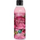 Barwa pivonka šampón na vlasy 300 ml