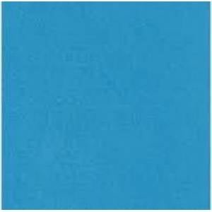 Penword Polsirhurt Decorative felt blue 20x30 10pcs