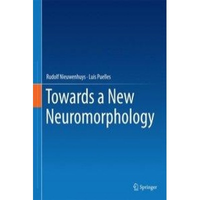 Towards a New Neuromorphology