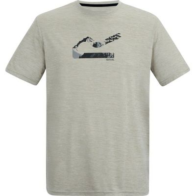 Regatta Fingal Graphic T-Shirt svetlosivé