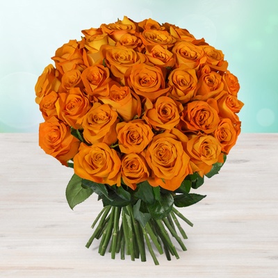 Rozvoz květin: Oranžové čerstvé růže - cena za 1ks - Kolín
