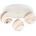 Argon 6291