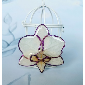 Meganflo Бяла орхидея с лилав кант