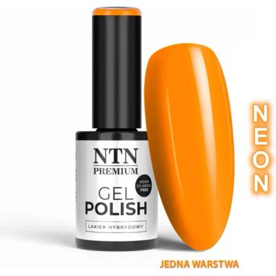 NTN Gél lak NTN premium Oranges Limited Edition Nr 533 5 g
