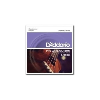 D'addario EJ99SC