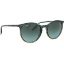 Ray-Ban RB2204 1394GK