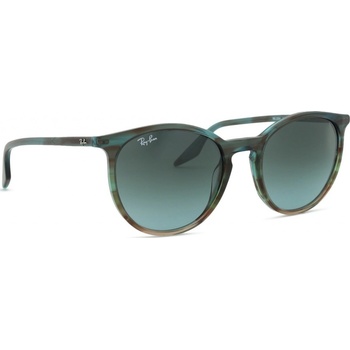 Ray-Ban RB2204 1394GK