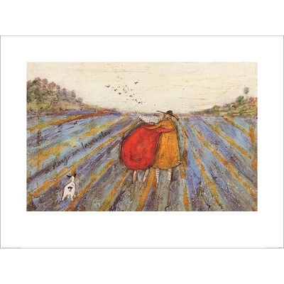 Umelecká tlač Sam Toft - A Day in Lavender, 40 × 30 cm