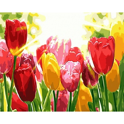 Gaira Malování podle čísel Tulipány