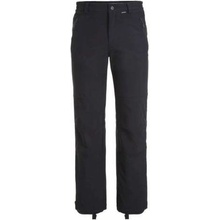 Icepeak Frankfurt M Ski Pants Black