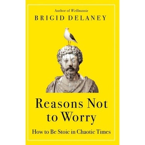 Reasons Not to Worry | DELANEY BRIGID (ISBN: 9780063314832)